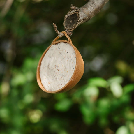 Gardman Coconut Feeder - Half