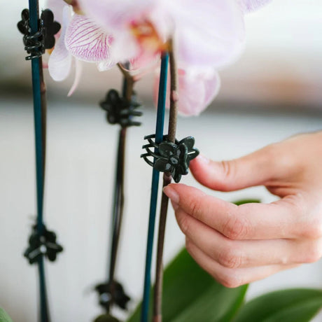 Gardman Plastic Flower Clips (Pack of 10)