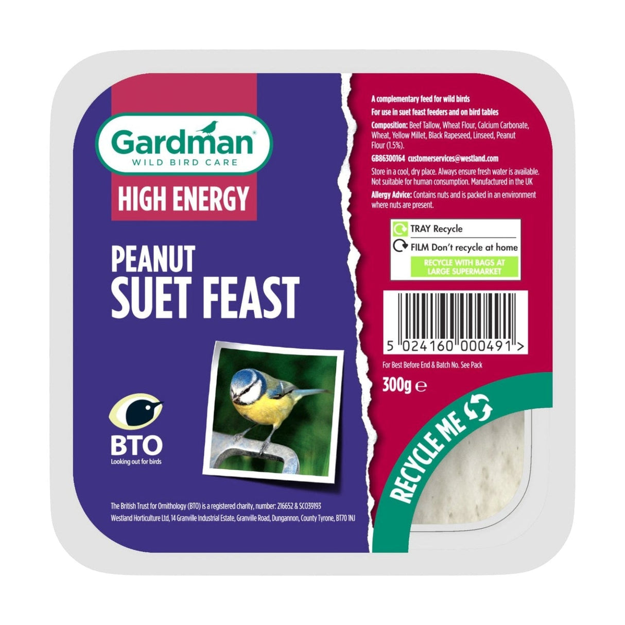 Gardman Wild Bird Peanut Suet Feast - Old Railway Line Garden Centre