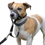 Halti Black Dog Training Headcollar