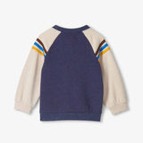Hatley Baby & Toddler Boys Stegosaurus Pullover Sweatshirt 2T