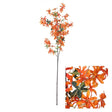 Hogewoning 100cm Orange Lilac Artificial Flower Stem - 362520 - Old Railway Line Garden Centre