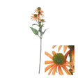 Hogewoning 73cm Orange Rudbeckia Artificial Flower Stem - 361548 - Old Railway Line Garden Centre