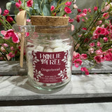 Hollie Tree Melting Pot Wax Melts Gingerbread