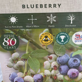 Blueberry 'Hannahs Choice' Bush - 3Ltr Pot