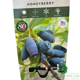 Honeyberry 'Giant's Heart' Fruit Bush - 3Ltr Pot