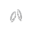 Hot Diamonds 13mm Constant Loop Earrings - Silver - Old Railway Line Garden Centre