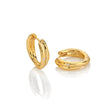 Hot Diamonds 15mm Aura Hoop Earrings - Gold - Old Railway Line Garden Centre