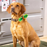 House of Paws Christmas Holly Dog Bow Tie
