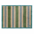 Hug Rug 85cm Timeless Stripe Green Doormat - Old Railway Line Garden Centre