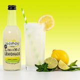 Hullabaloos 750ml Lime & Mint - Old Railway Line Garden Centre