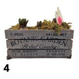 Hyacinth 29cm Botanic Garden Planter - (3 Bulbs) - (Choice of 4)