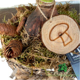 Hippeastrum Wooden Planter - 15cm Pot