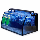 Hygger 37L LED Glass Aquarium Kit