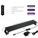 Hygger 37L LED Glass Aquarium Kit
