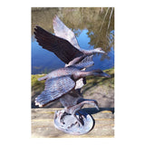 Inspirational Gifting 3 Flying Ducks Garden Ornament - Old Railway Line Garden Centre
