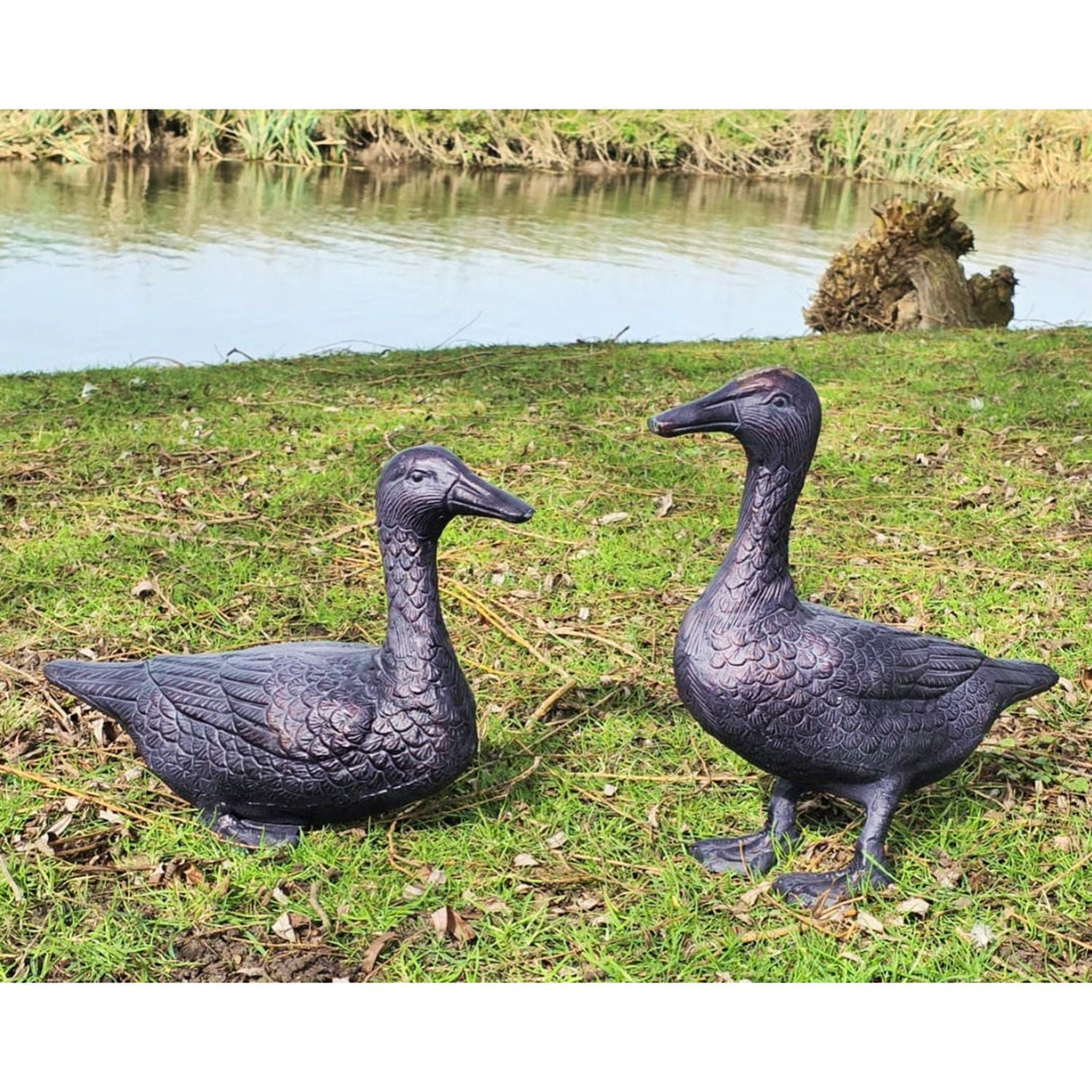 Inspirational Gifting Pair of Ducks Garden Ornament - Old Railway Line Garden Centre