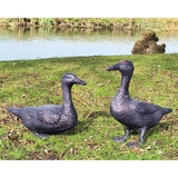 Inspirational Gifting Pair of Ducks Garden Ornament - Old Railway Line Garden Centre