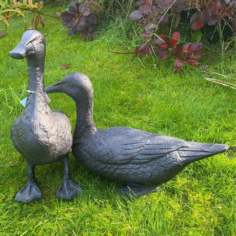 Inspirational Gifting Pair of Ducks Garden Ornament - Old Railway Line Garden Centre
