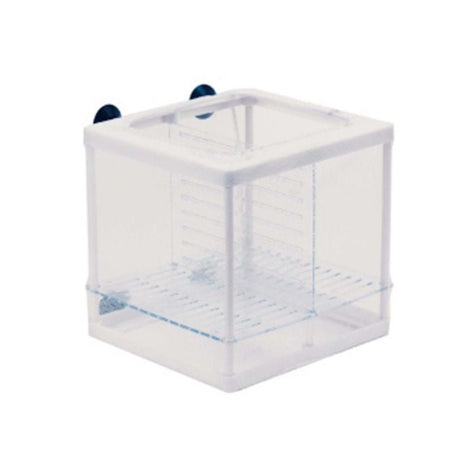 Ista Double Isolation & Breeding Box - Old Railway Line Garden Centre