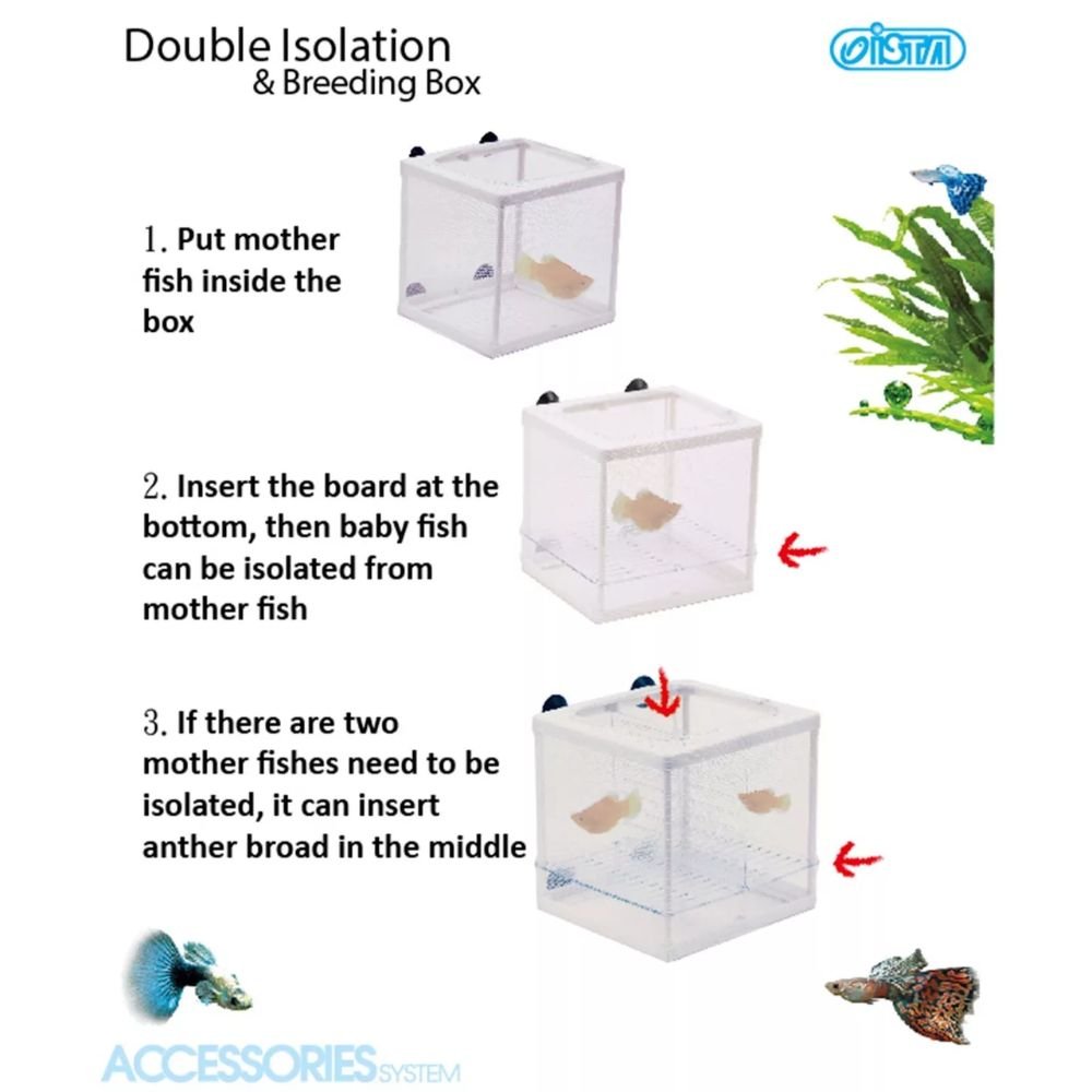 Ista Double Isolation & Breeding Box - Old Railway Line Garden Centre