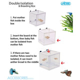 Ista Double Isolation & Breeding Box - Old Railway Line Garden Centre