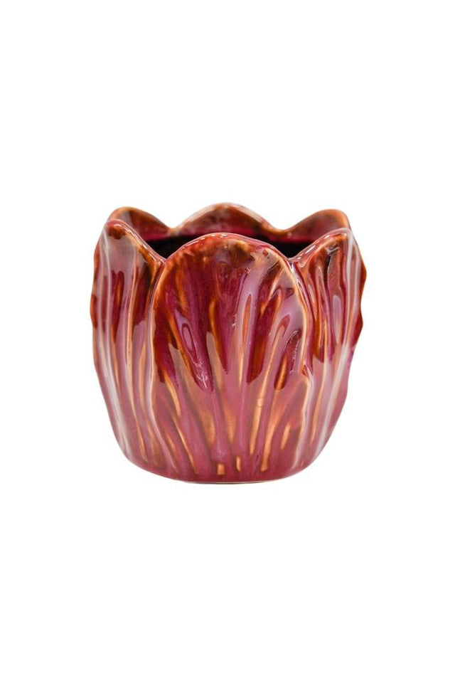 Ivyline 14cm Cherry Alyssa Tulip Planter Indoor Pot - ATCP15 - Old Railway Line Garden Centre