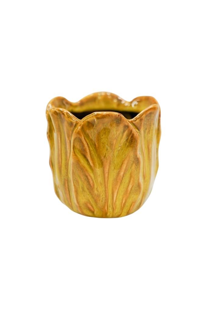 Ivyline 14cm Mustard Alyssa Tulip Indoor Pot - ATMP15 - Old Railway Line Garden Centre