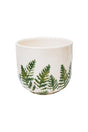 Ivyline 14cm Veneto Printed Fern Planter - VPFP15 - Old Railway Line Garden Centre