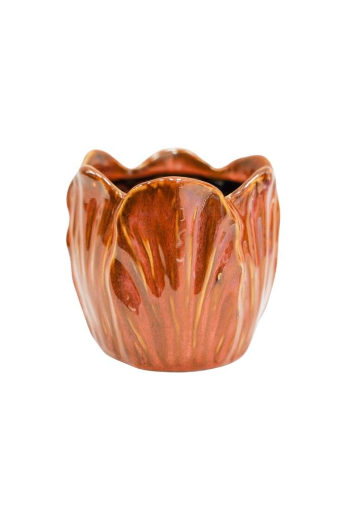 Ivyline 8cm Lava Orange Alyssa Tulip Indoor Pot - ATLP8 - Old Railway Line Garden Centre