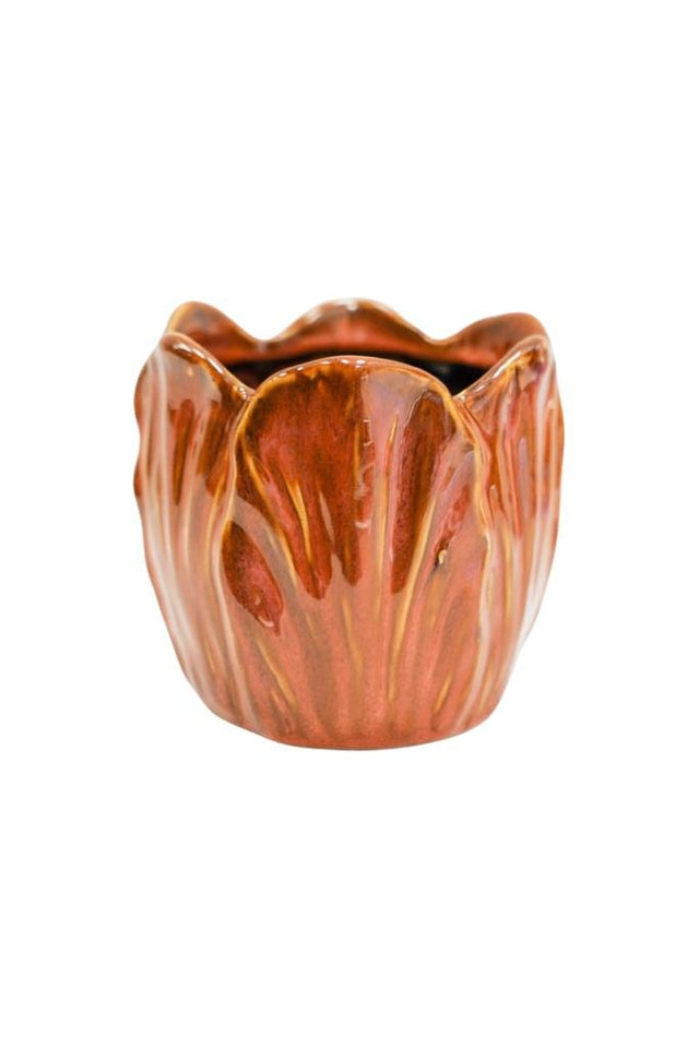 Ivyline 8cm Lava Orange Alyssa Tulip Indoor Pot - ATLP8 - Old Railway Line Garden Centre