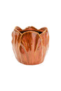 Ivyline 8cm Lava Orange Alyssa Tulip Indoor Pot - ATLP8 - Old Railway Line Garden Centre