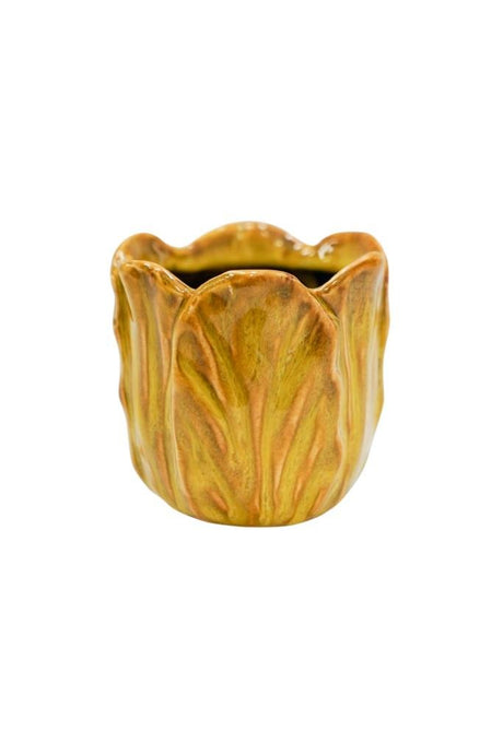 Ivyline 8cm Mustard Alyssa Tulip Indoor Pot - ATMP8 - Old Railway Line Garden Centre