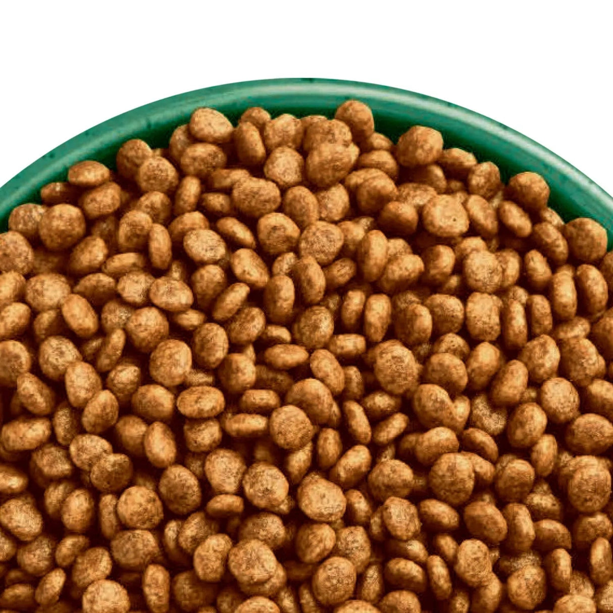 James Wellbeloved 1.5kg Turkey Adult No Cereal Dry Cat Food - Old Railway Line Garden Centre