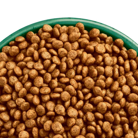 James Wellbeloved 1.5kg Turkey Adult No Cereal Dry Cat Food - Old Railway Line Garden Centre