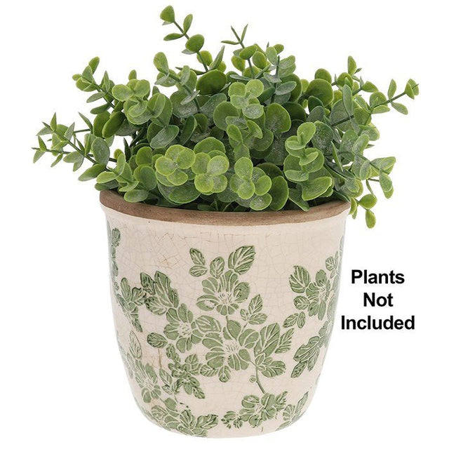 Joe Davies 14.5cm Small Clematis Garden Pot - 351090 - Old Railway Line Garden Centre