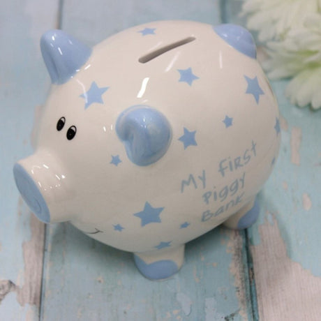 Joe Davies Blue Star Pig My First Money Bank - Old Railway Line Garden Centre