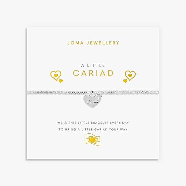 Joma Jewellery A Little 'Cariad' Welsh Bracelet - Silver - Old Railway Line Garden Centre