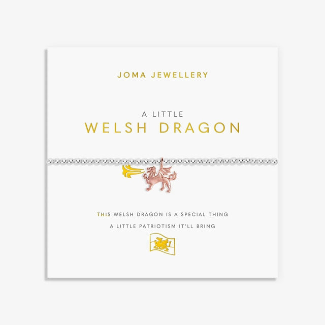 Joma Jewellery A Little 'Welsh Dragon' Welsh Bracelet - Silver - Old Railway Line Garden Centre
