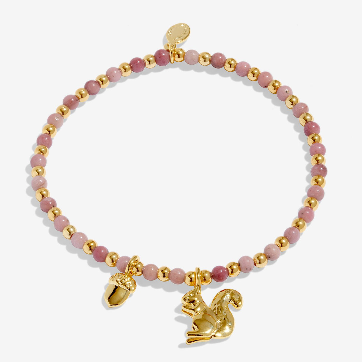 Joma Jewellery Autumn's Calling A Little 'Small But Mighty' Bracelet - Gold