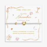 Joma Jewellery Birth Month A Little 'November' Bracelet in Silver and Gold Plating - Old Railway Line Garden Centre
