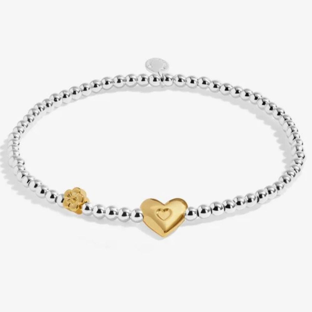 Joma Jewllery Birth Month A Little 'February' Bracelet in Silver and Gold Plating - Old Railway Line Garden Centre