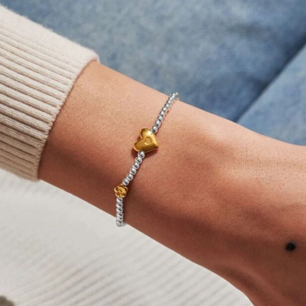 Joma Jewllery Birth Month A Little 'February' Bracelet in Silver and Gold Plating - Old Railway Line Garden Centre
