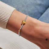 Joma Jewllery Birth Month A Little 'February' Bracelet in Silver and Gold Plating - Old Railway Line Garden Centre