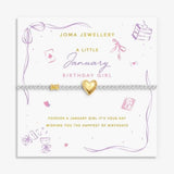 Joma Jewllery Birth Month A Little 'January' Bracelet in Silver and Gold Plating - Old Railway Line Garden Centre