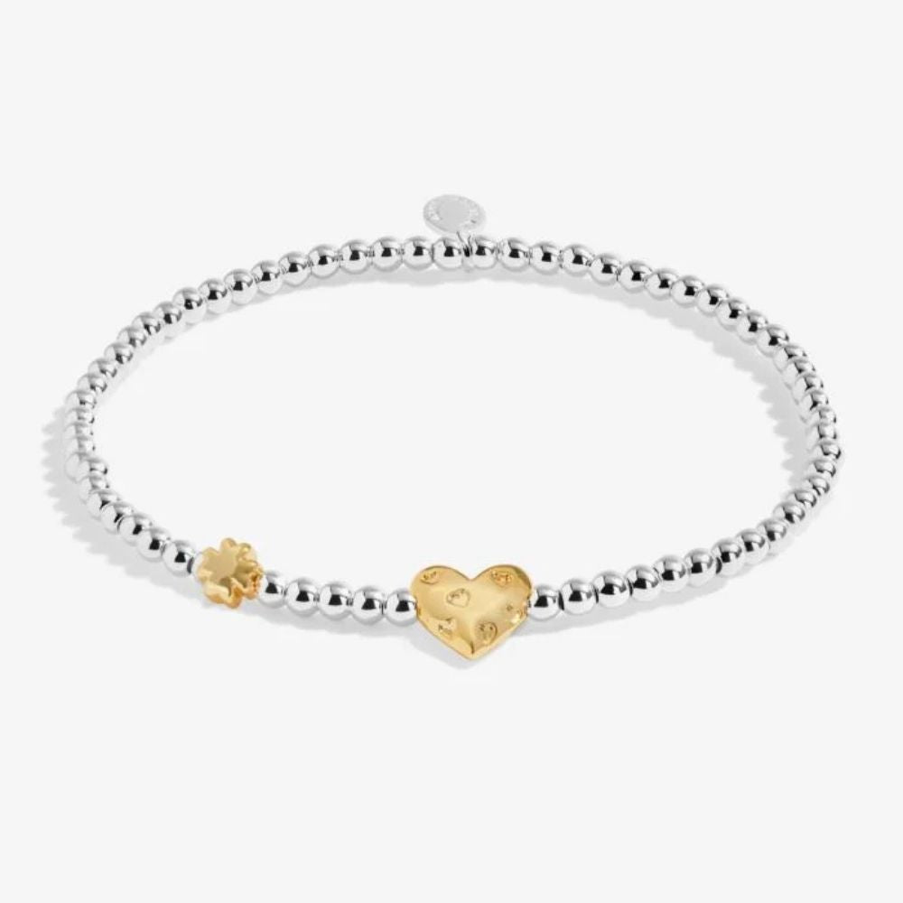 Joma Jewllery Birth Month A Little 'March' Bracelet in Silver and Gold Plating - Old Railway Line Garden Centre