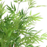 Kaemingk 1.8m Artificial Bamboo in Pot