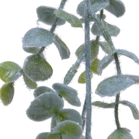 Kaemingk 180cm Frosted Eucalyptus Garland