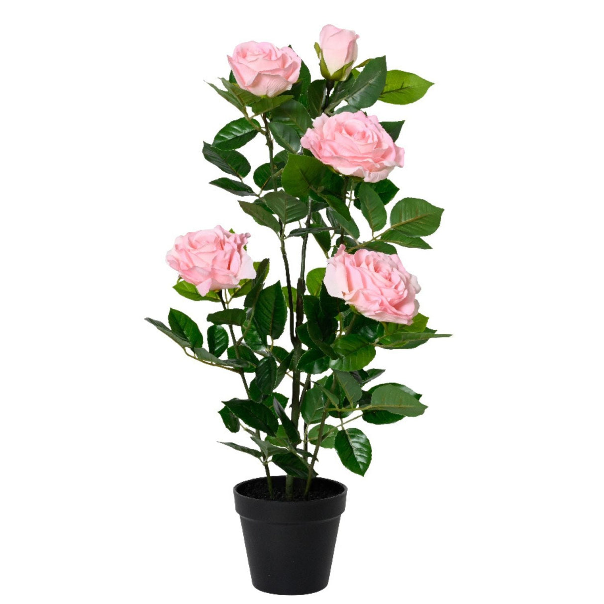 Kaemingk 56cm Artificial Rose Pant and Pot - Pink - Old Railway Line Garden Centre