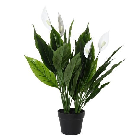 Kaemingk Artificial Peace Lily Plant in Black Pot - Old Railway Line Garden Centre
